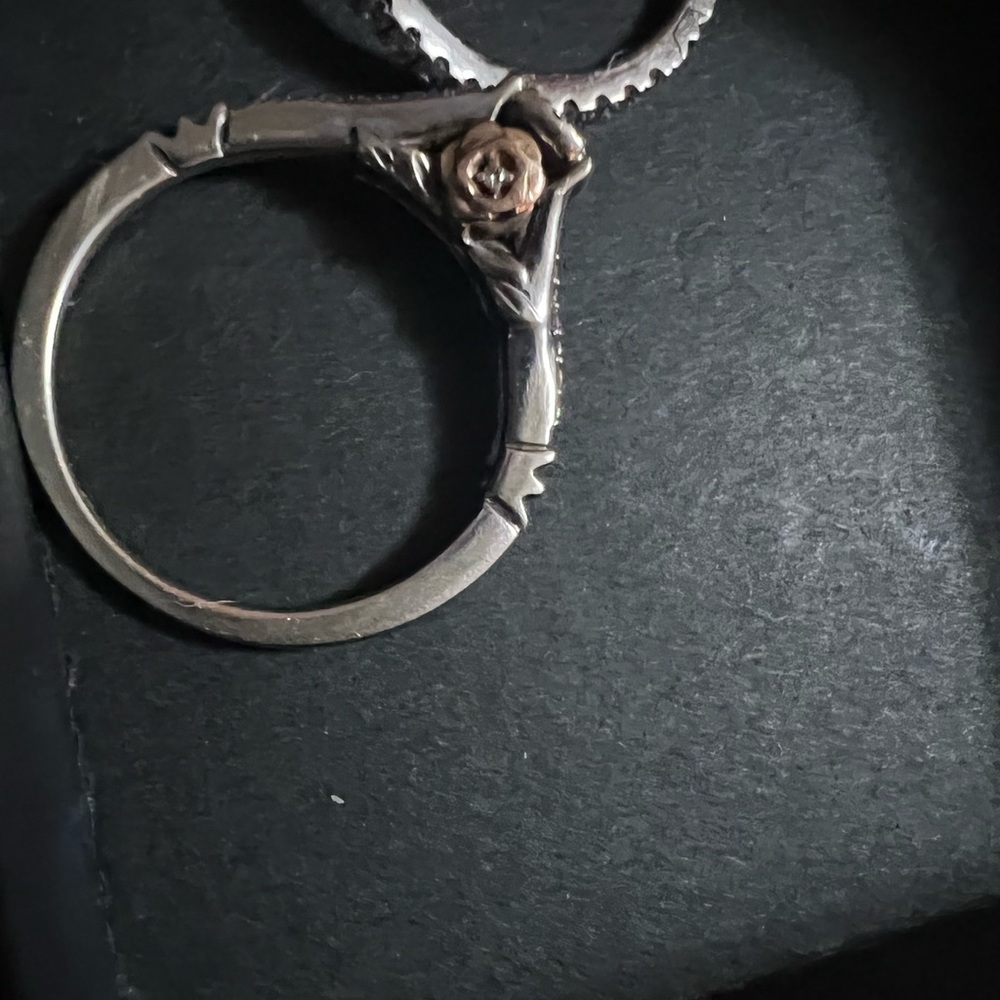 Beauty and the beast ring set from zales